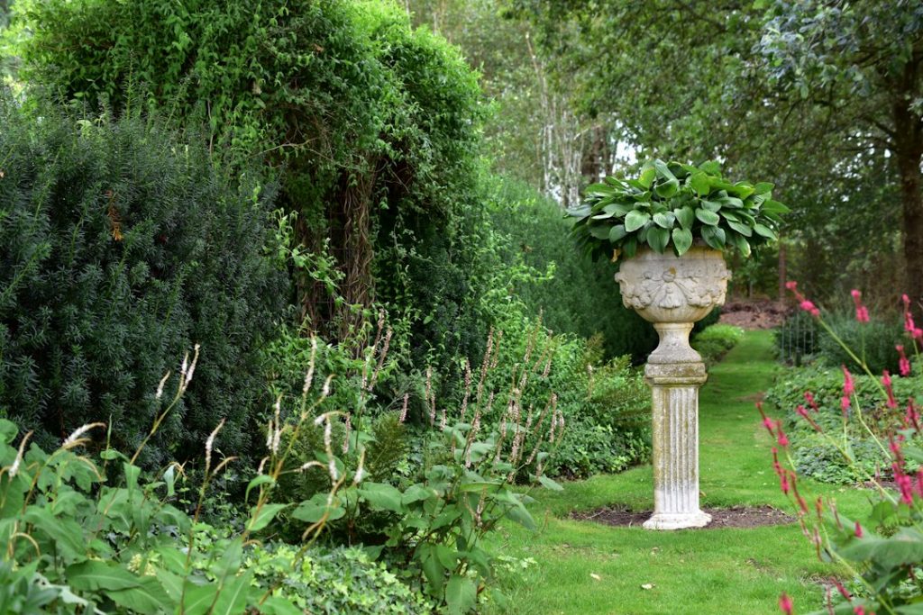 Heesters in pot: zo kies, plant en verzorg je ze goed